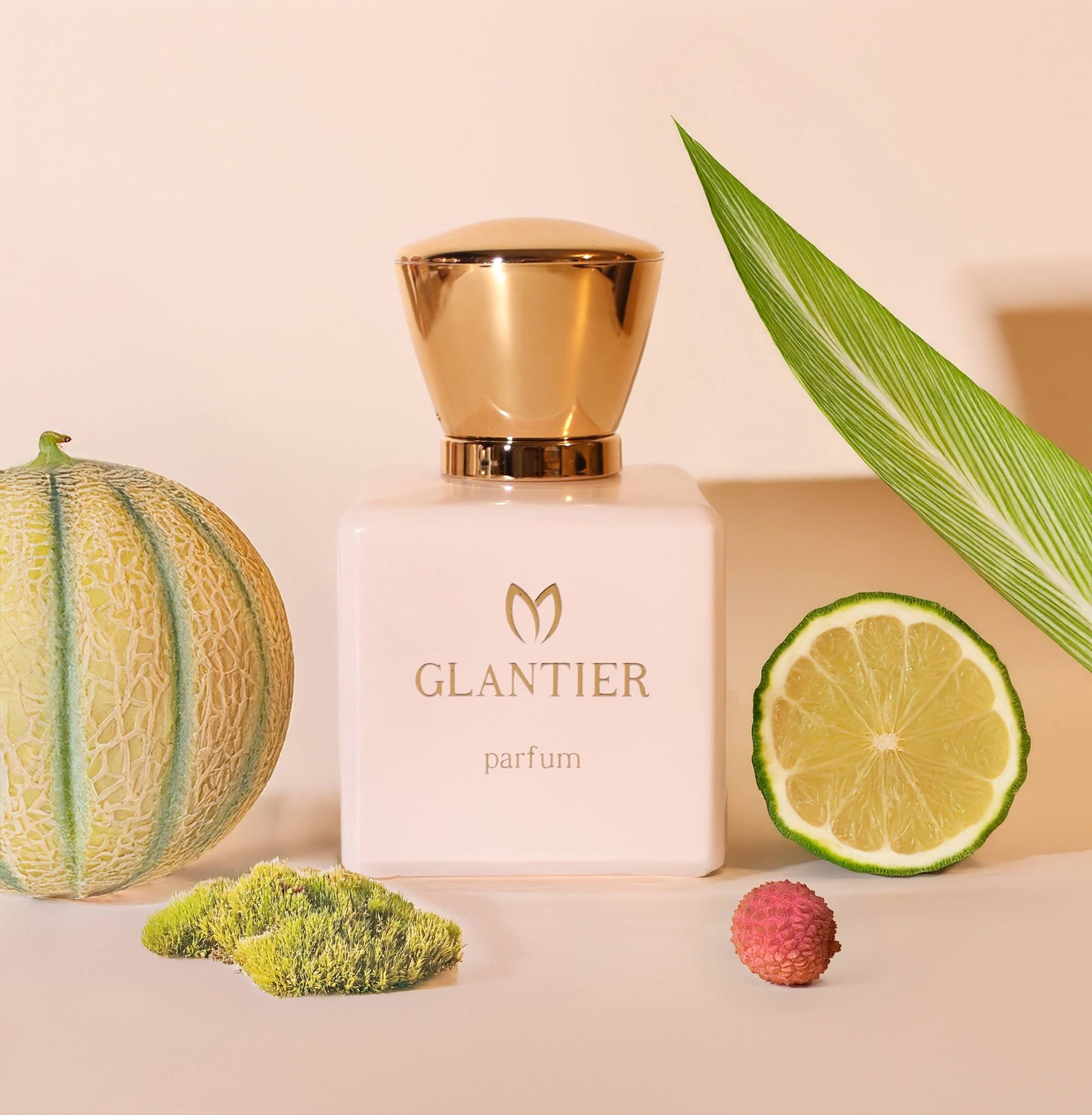 588 inspired by Si lntense